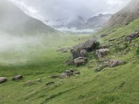 IMG_7226.jpeg