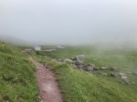 IMG_7227.jpeg