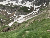 IMG_7239.jpeg