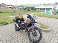 IMG_20240617_094537_366.jpg