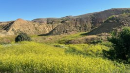 IMG_2435.jpg