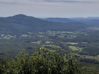49B88414-B229-47F9-8E94-B002B72AE77A.jpeg
