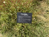 IMG_5070.jpeg