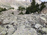 IMG_7255.jpeg