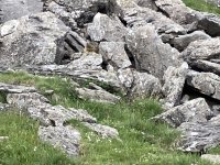 IMG_7272.jpeg