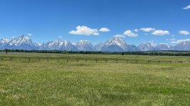 IMG_2452.jpg