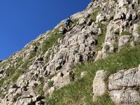 IMG_7275.jpeg