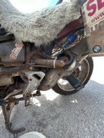 IMG_1635.jpeg