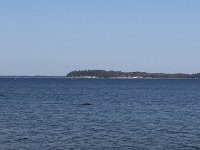 36430211-A0DF-4053-9613-9CEAD60C6C8D.jpeg 36430211-A0DF-4053-9613-9CEAD60C6C8D.jpeg