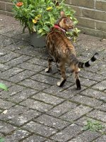 IMG_5577.jpeg