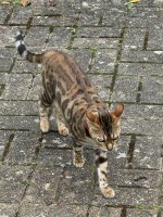 IMG_5580.jpeg