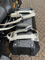 IMG_5591.jpeg