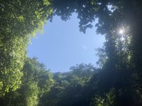 C2C438FB-B106-4CCC-B416-DDDF612D3BE8.jpeg C2C438FB-B106-4CCC-B416-DDDF612D3BE8.jpeg