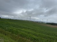 IMG_5735.jpeg