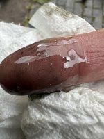 IMG_2408.jpeg