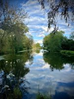 IMG_4733.jpeg