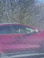 IMG_7802.jpeg