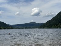 IMG_4803.jpeg