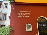 IMG_5782.jpeg