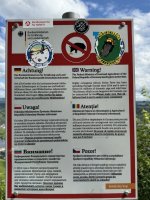 IMG_5798.jpeg