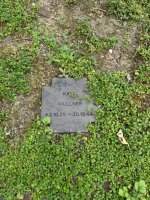 IMG_5832.jpeg