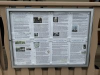 IMG_5874.jpeg