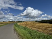 IMG_5932.jpeg
