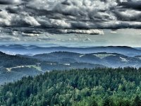 IMG_4861.jpeg