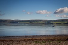 IMG_5246.jpeg