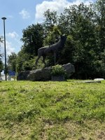 IMG_5967.jpeg