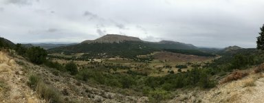 IMG_2638.jpeg