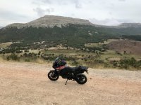 IMG_2636.jpeg