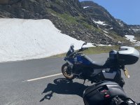 IMG_2887.jpeg