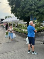 IMG_6017.jpeg