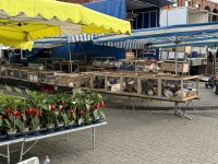 IMG_6016.jpeg