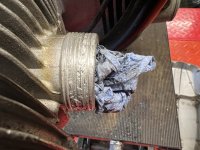 IMG_5793.jpeg