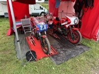 IMG_6118.jpeg