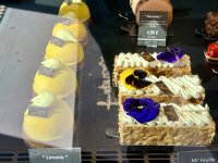 IMG_4740.jpeg