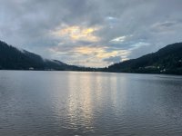 IMG_1943.jpeg