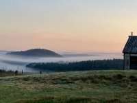 IMG_2047.jpeg