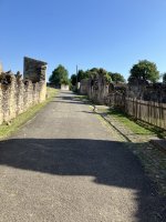 IMG_2072.jpeg