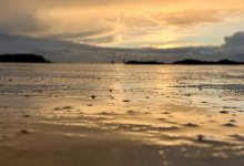 IMG_2117.jpeg