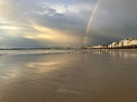 IMG_2115.jpeg