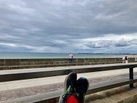 IMG_2097.jpeg