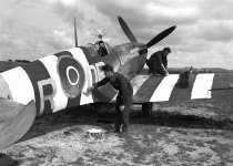 ddaycolorsok9-1.jpg