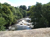 DSCF2820.jpg