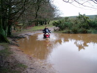 puddles.jpg
