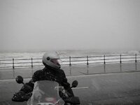 109_0750 (Small).JPG