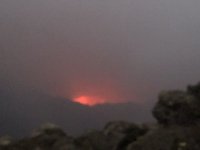 0608F243-F991-445B-ADA6-6AF47FEAF3F8.jpeg