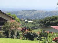 6774C957-C168-4F10-B300-9B6EEADF9072.jpeg